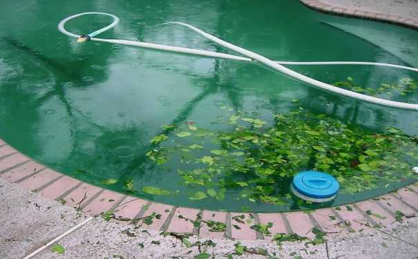 Как бороться с водорослями? Как бороться с водорослями?